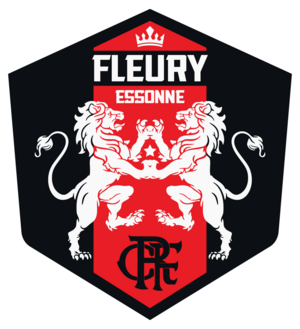 FC Fleury 91 Coeur d'Essonne